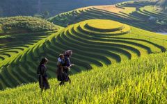 things to see and do in vietnam 7