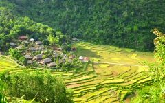 ninh binh mai chau halong bay tour 4