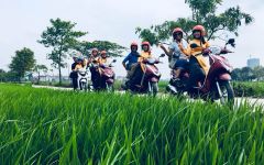 hanoi tours 2