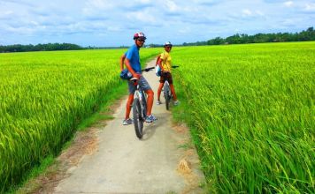 Hanoi Countryside Tour by Bike 2