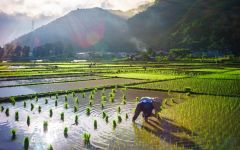 mai chau tours 10