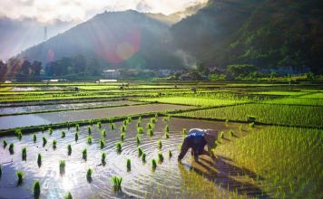 mai chau tours 10