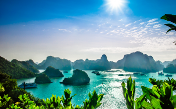 halong bay tours 6