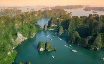 halong bay tours 1