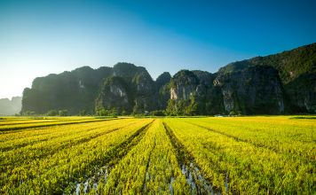 ninh binh tours 30