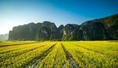 ninh binh tours 30