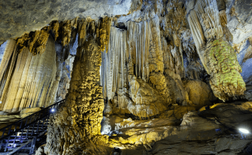 phong nha tours 2