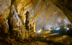 phong nha tours 4