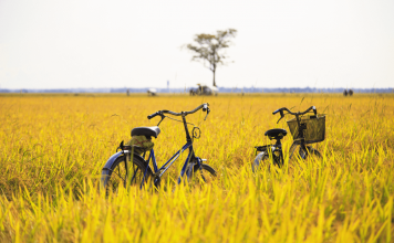 vietnam cycling tours 3