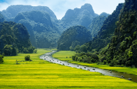 ninh binh tours 43