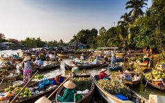 mekong delta tours 41