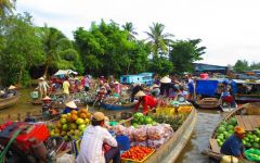 mekong delta tours 39