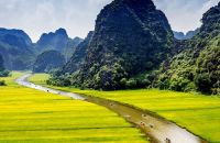 ninh binh tours