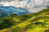 sapa tours