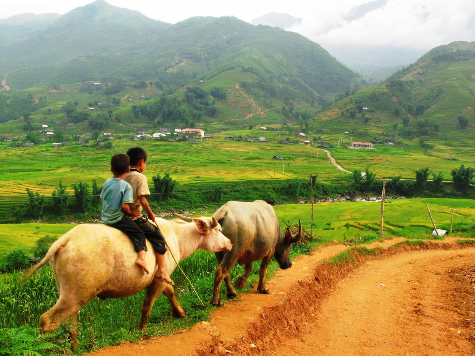 sapa tours 21