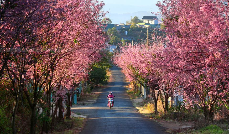 best time to visit southern vietnam 1