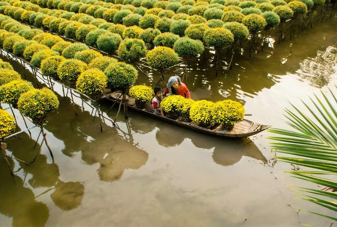 mekong delta tours 34