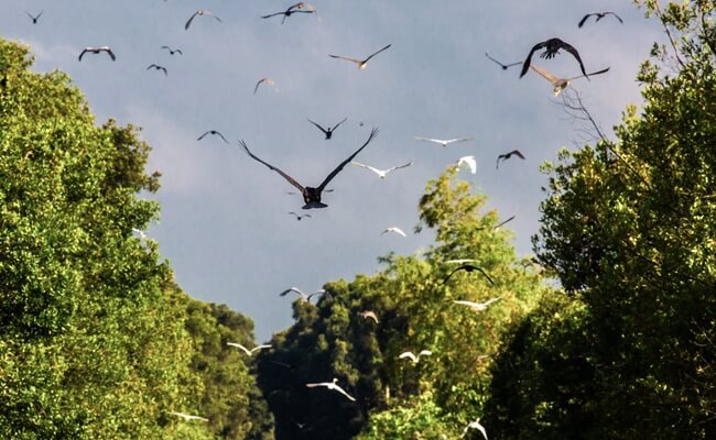 national parks in vietnam 5