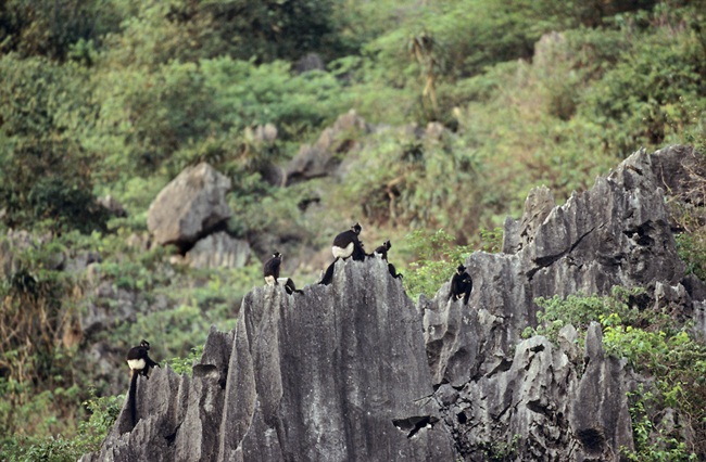 Ninh Binh 7