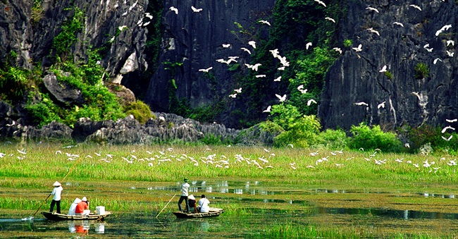 Best Places to Visit in Ninh Binh 4