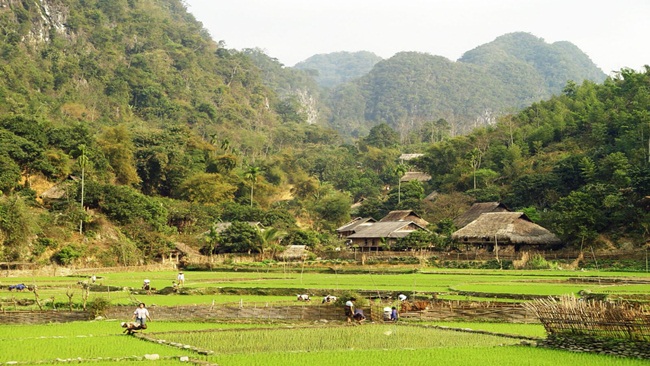 Pu Luong Nature Reserve 0