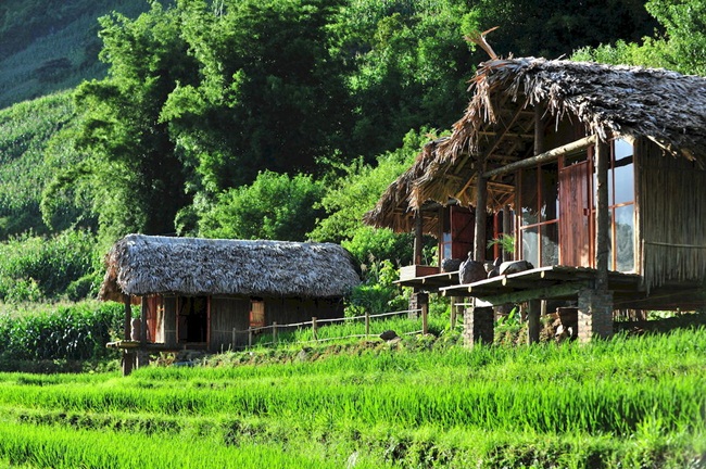 Top 6 Best Homestays & Ecolodges in Sapa 2