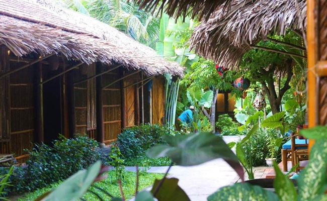 where to stay in hoi an under coconut tree 1