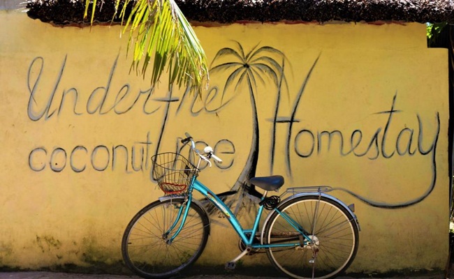 where to stay in hoi an under coconut tree 2