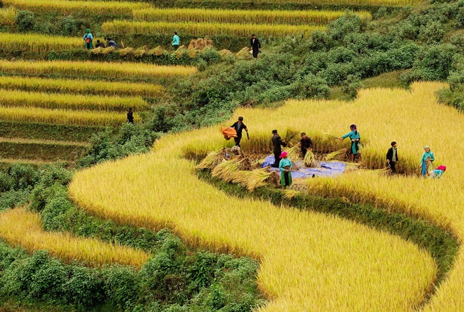 bac son valley 