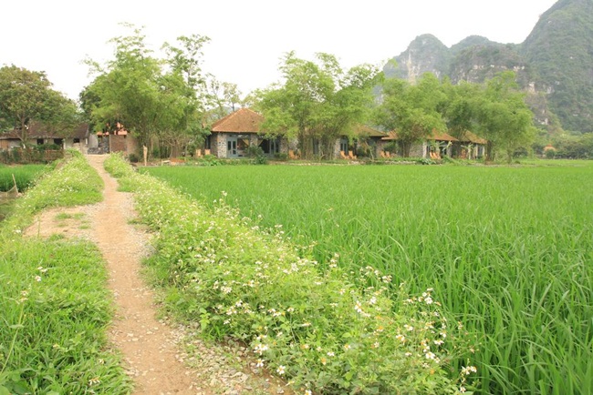 hotels and resorts in ninh binh 6