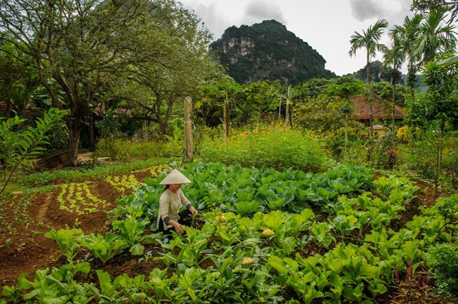 hotels and resorts in ninh binh 7