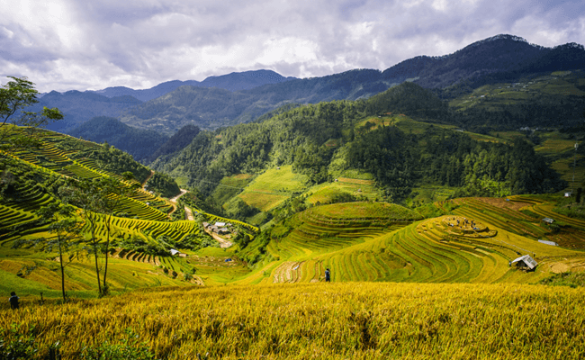 best time to travel to mai chau 2