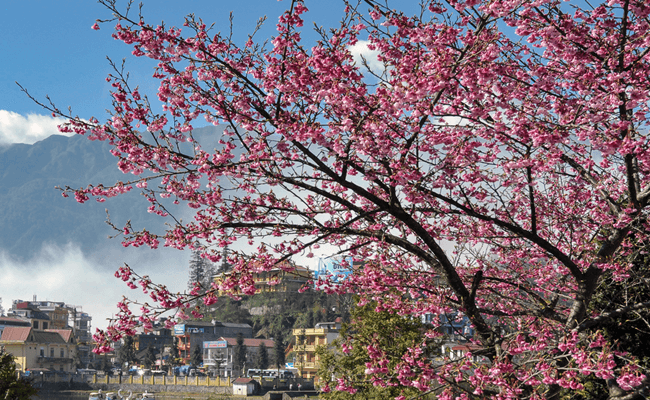 best time to visit sapa 7