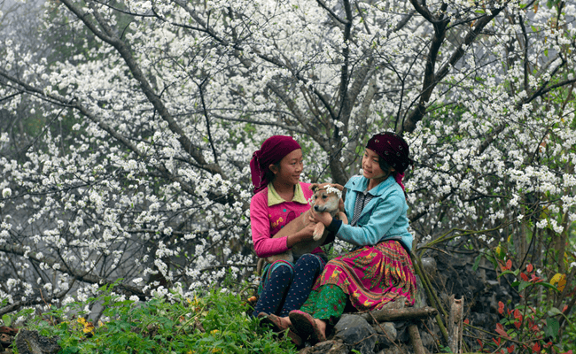 best time to visit sapa 1