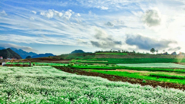 Best time to travel in Vietnam 8