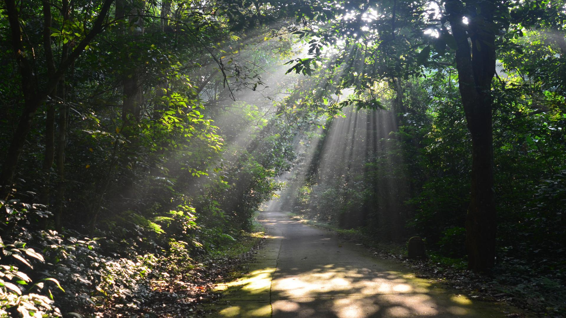 ninh binh tours 21