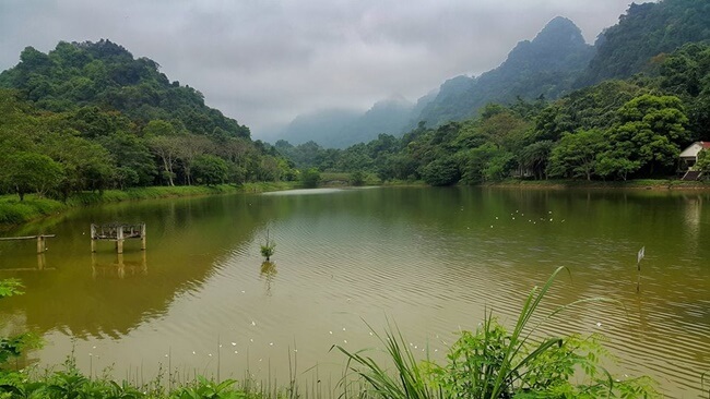 cuc phuong national park 4