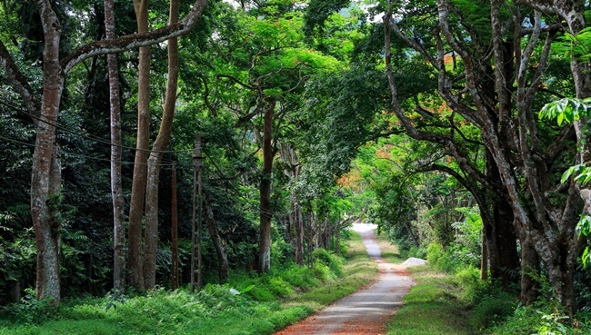 cuc phuong national park 1