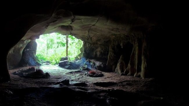 cuc phuong national park 6