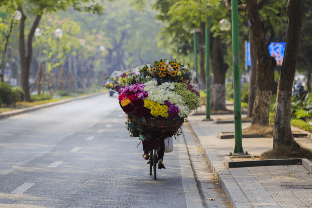 hanoi tours 22