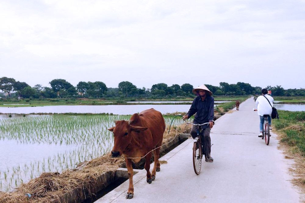 hanoi cycling tour 3