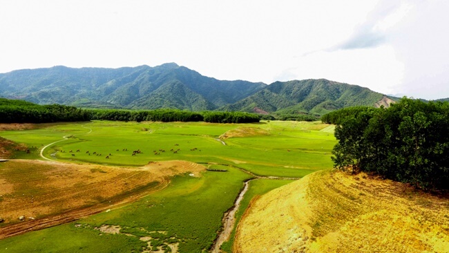 hoa trung lake 3