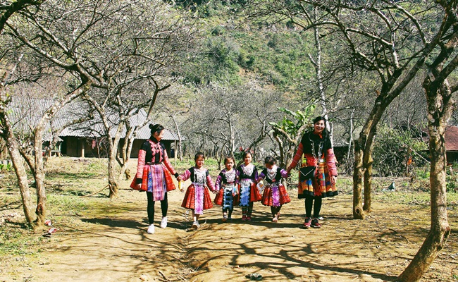 best time to travel to mai chau 1