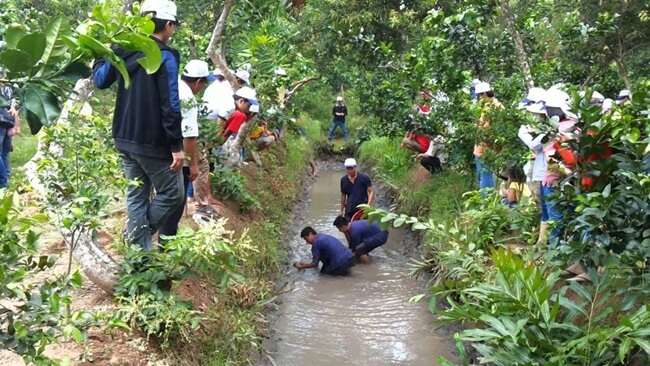 mekong delta 3