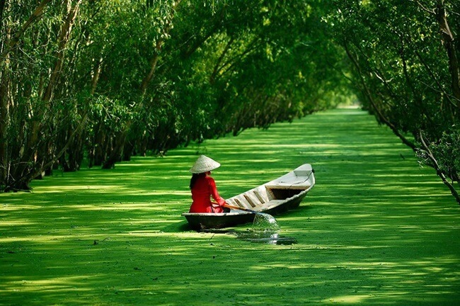 mekong delta 4