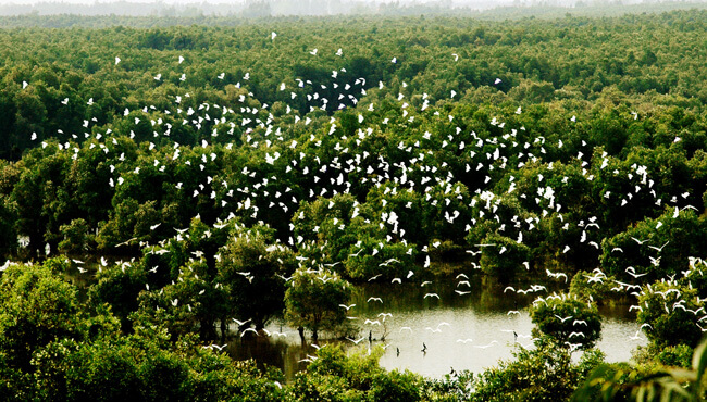 mekong delta 6