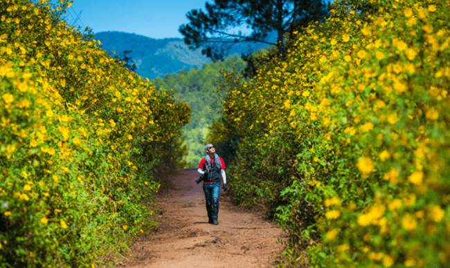 National Parks in Vietnam 8