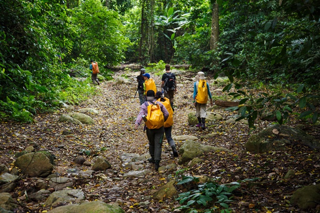 phong nha tours 11