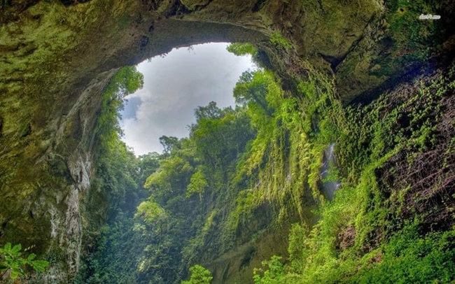 phong nha national park 4