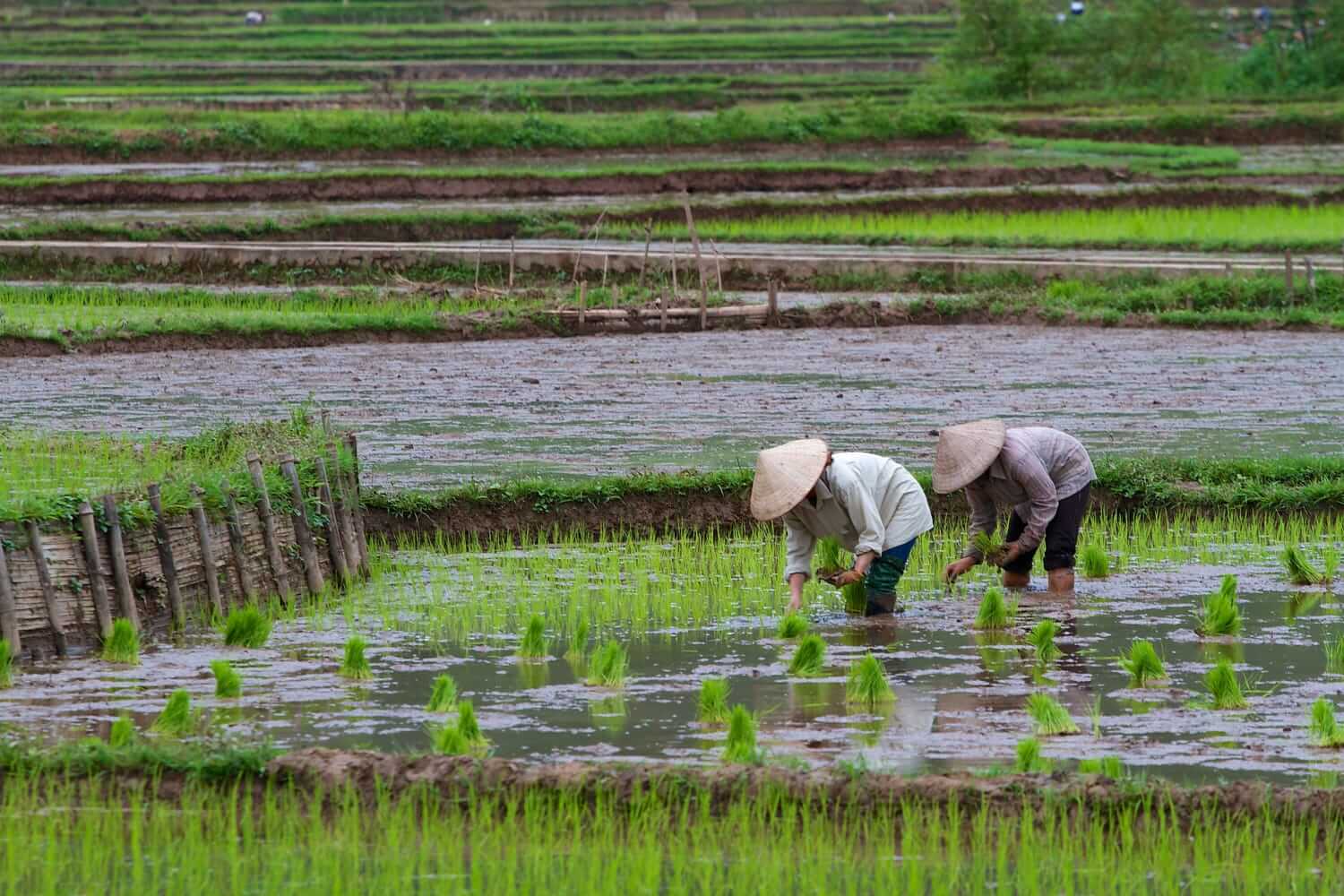 mai chau tours 12